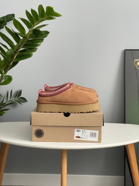 UGG Tasman Platform Chestnut Tas-11-36 фото