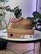 UGG Tasman Platform Chestnut Tas-11-36 фото 10