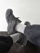 New Balance 2002R Protection Pack Phantom N2002-02-36 фото 10
