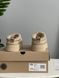 UGG Tasman Platform Beige Tas-10-36 фото 3